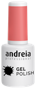 ANDREIA GEL POLISH  285 - 10,5ML 