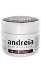 ANDREIA GEL PAINT 08 DEEP PURPLE 4gr