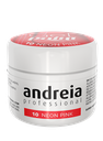 ANDREIA GEL PAINT 10 NEON PINK 4gr