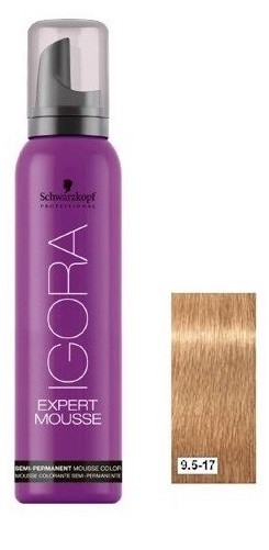 IG COLOR EXPERT MOUSSE 9,5-17 100ml SCH