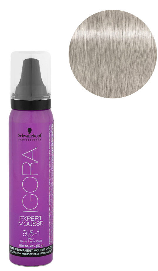 IG COLOR GLOSS EXPERT ESPUMA 9,5-1 100ml SCH