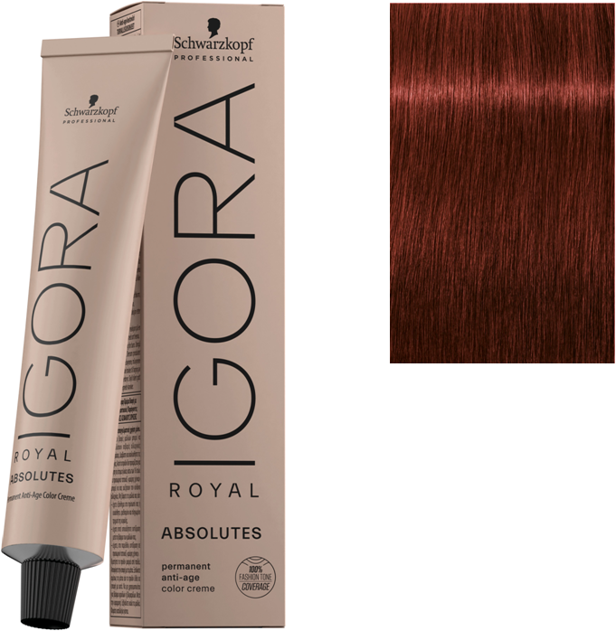 IGORA ROYAL ABSOLUTES 6-80 60ml SCH