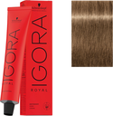 [101300800] IGORA ROYAL 8-00 60ml SCH