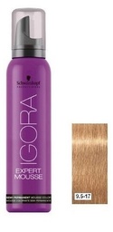 [101099517EXPMOU] IG COLOR EXPERT MOUSSE 9,5-17 100ml SCH